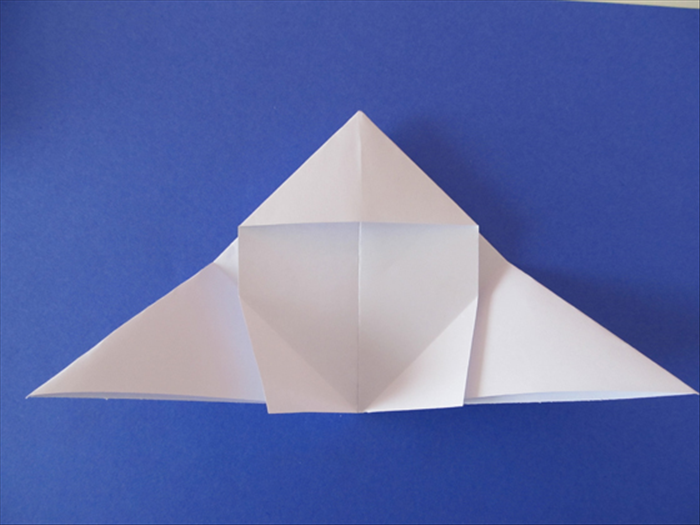 Unfold the 2 folds you just made in step 11 And step 12