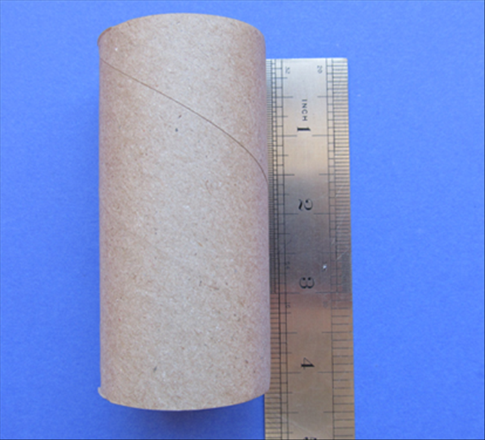 Measure the height of the toilet paper roll. 
The one in the guide was 4 inches long