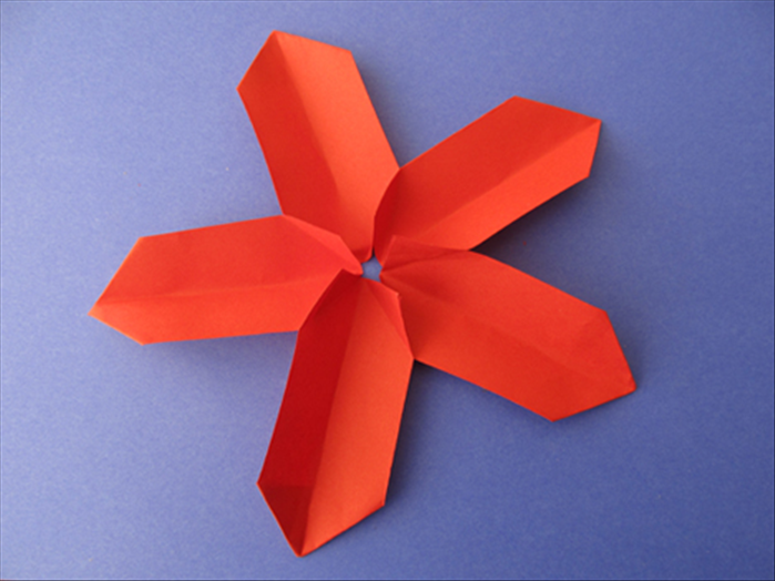 Repeat with the remaining 2 folded rectangles and glue the last on both corners

Your 5 petal flower is ready!
