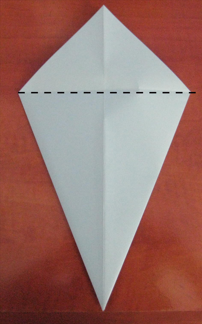 Flip the paper over to the back side.

Fold the top point down at the 2 side points
