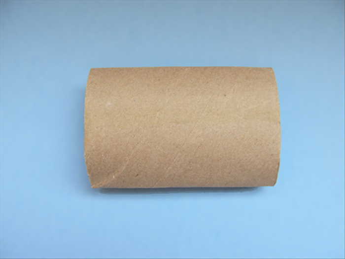 Squash the toilet paper roll flat