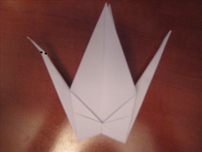 On one side only, make a fold at an angle. Crease it  sharply and unfold
Pull it open slightly and make a reverse fold.
