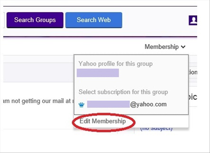 <p> A box will appear.</p> 
<p> Click on "Edit Membership" - circled in red in the picture</p>