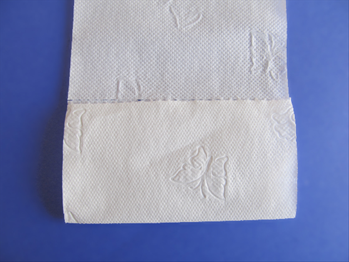 <p> Unroll 5 or 6 squares of toilet paper.</p>  
<p> Fold the short edge of the toilet paper up to the top of one square.</p>  
<p>  </p>