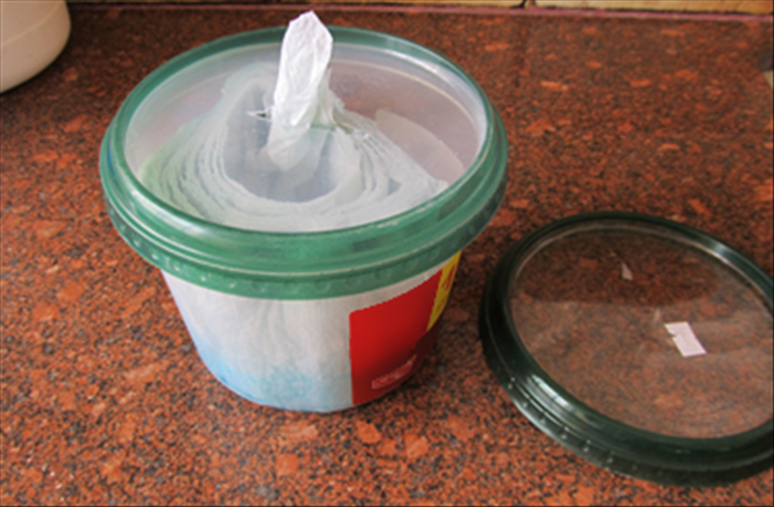 Materials

Large sized plastic container and 2 covers

1 roll of good quality paper towels

A sharp knife

Scissors

pen

Liquid cleaning solutions such as vinegar, bleach, window cleaner etc..