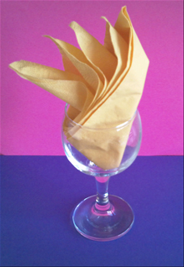 How to fold the bird of paradise napkin fold