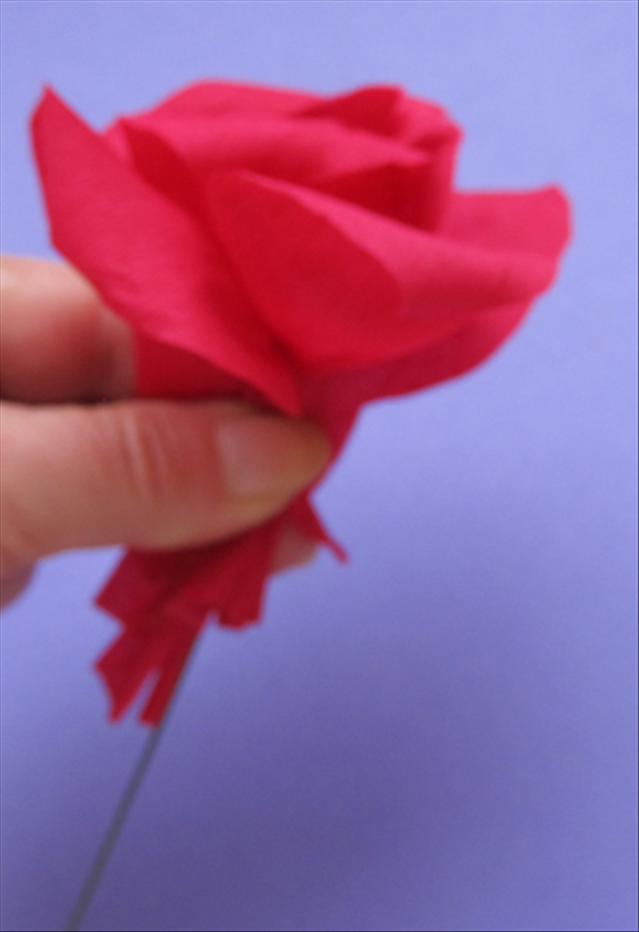 Continue adding the remaining 13 petals by over lapping the edge at the middle of the previous petal. 