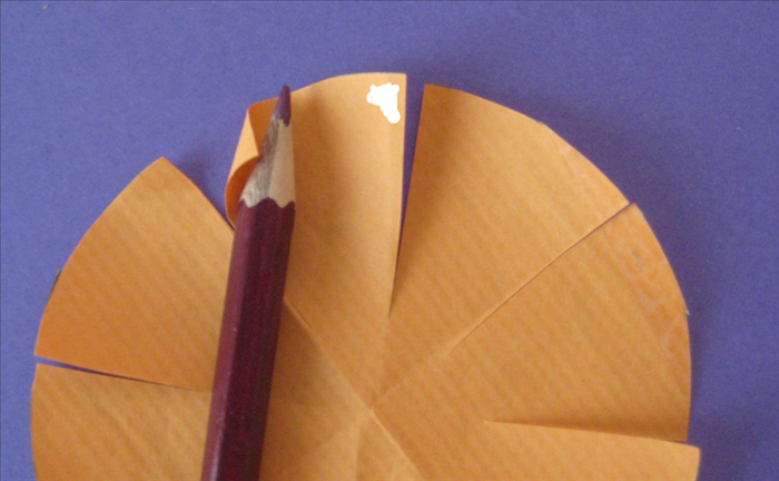 <p> Put glue on the right top side of a petal</p> 
<p> Place your pencil at an angle on the left top corner and roll it up on the pencil.</p>