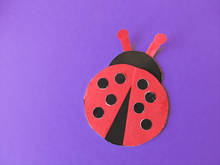 Your ladybug magnet is ready!