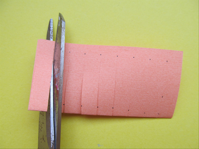 Fold you base paper in half.

Make dots at equal distances from each other along the top and along the bottom.

Cut slits from the folded edge, stopping before you get to the end. You do not want to cut all the way.

Use the same measurement to cut strips from your junk mail or scrap paper for the weaving.
