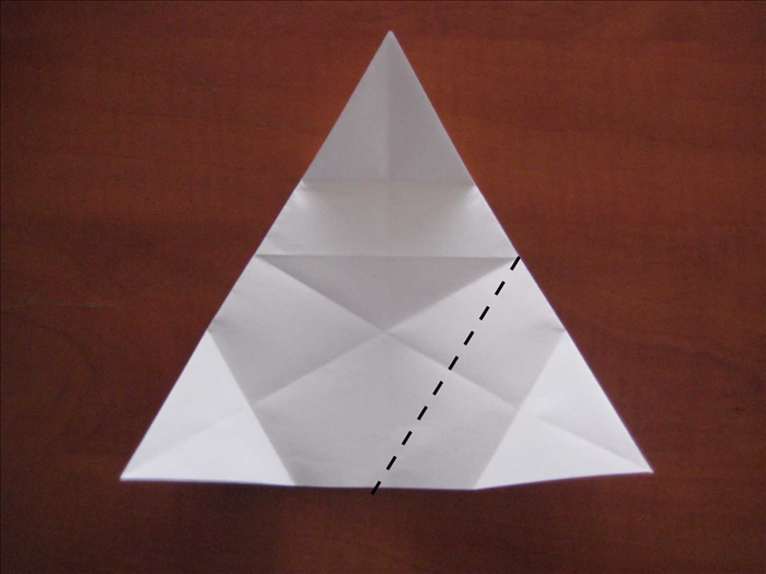 Fold the right bottom point up to the center of the left side.