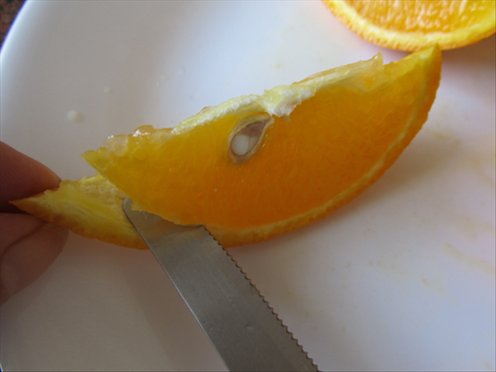 Grab the peel end of a quarter with the tips of your pointer and thumb.
Place the knife at the end of the orange and push it gently between the meat and the peel.
