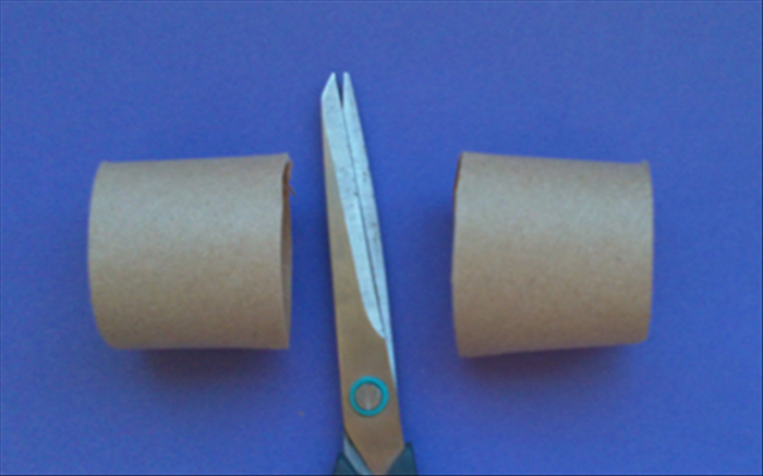 Now you will make the stamen.
Squash and cut 4 toilet paper rolls in half as shown in the picture.
