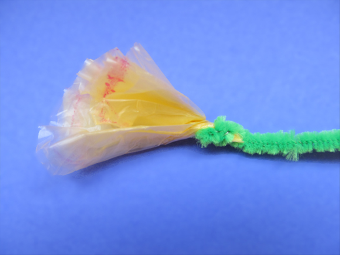 <p> Wrap the pipe cleaner around the twisted bottom.</p> 
<p> Fluff out the flower.</p> 
<p>  </p>
