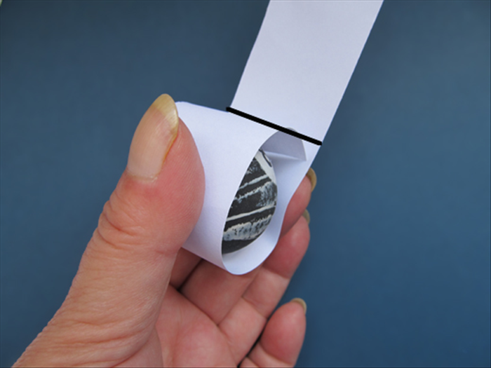 Cut a strip of white paper the width you measured
Wrap it around the ball one time
Overlap the paper a little and cut off the extra.
Use the length of the strip to make copies for other eyes

