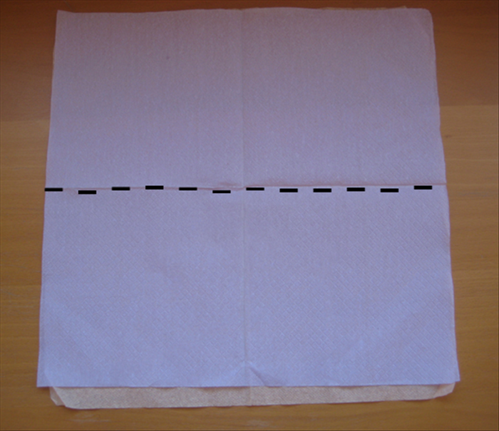 Open up the 2 napkins and place one on top of the other.
Fold the bottom edge up to the top edge.
