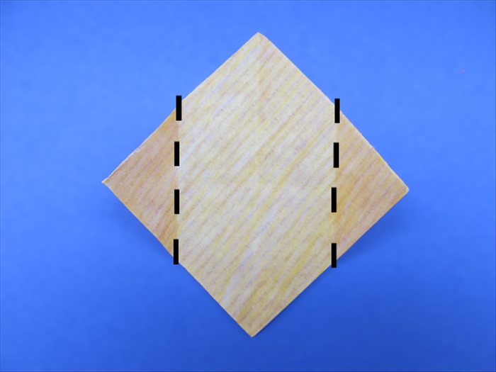 <p> Fold the 2 side points to the center pinch mark.</p> 
<p>  </p>